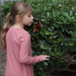 A girl hunting for Easter eggs.